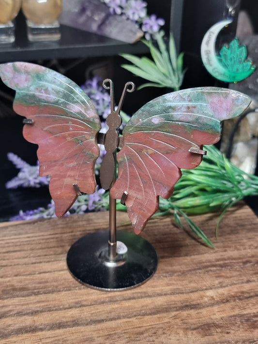 Ocean jasper butterfly wings
