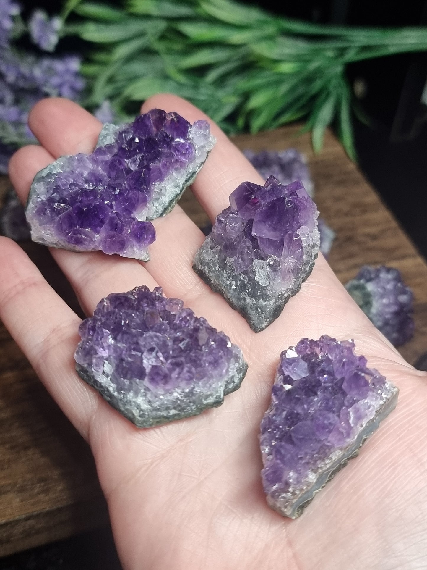Small amethyst clusters