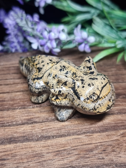 Picture jasper axolotl