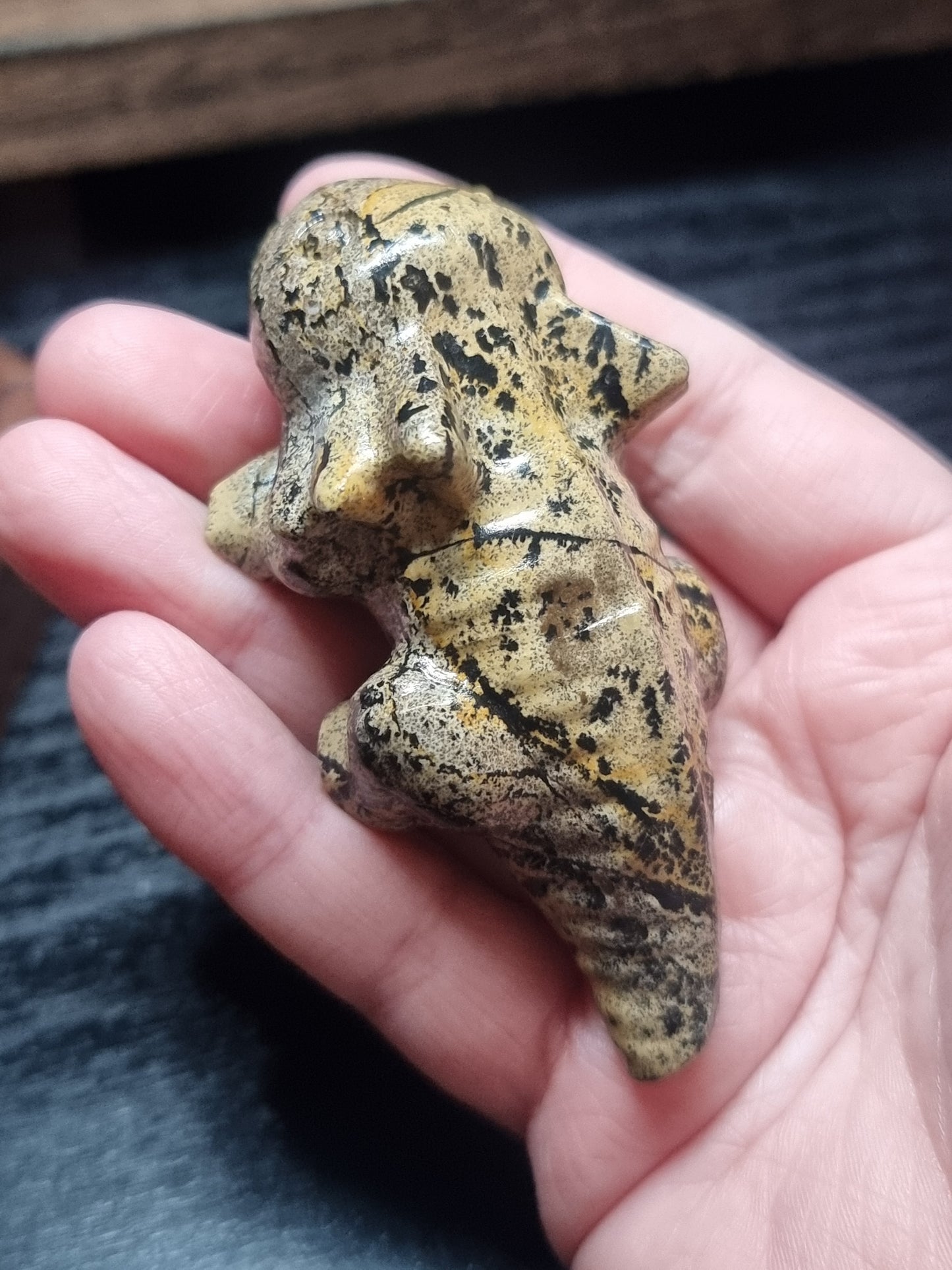 Picture jasper axolotl