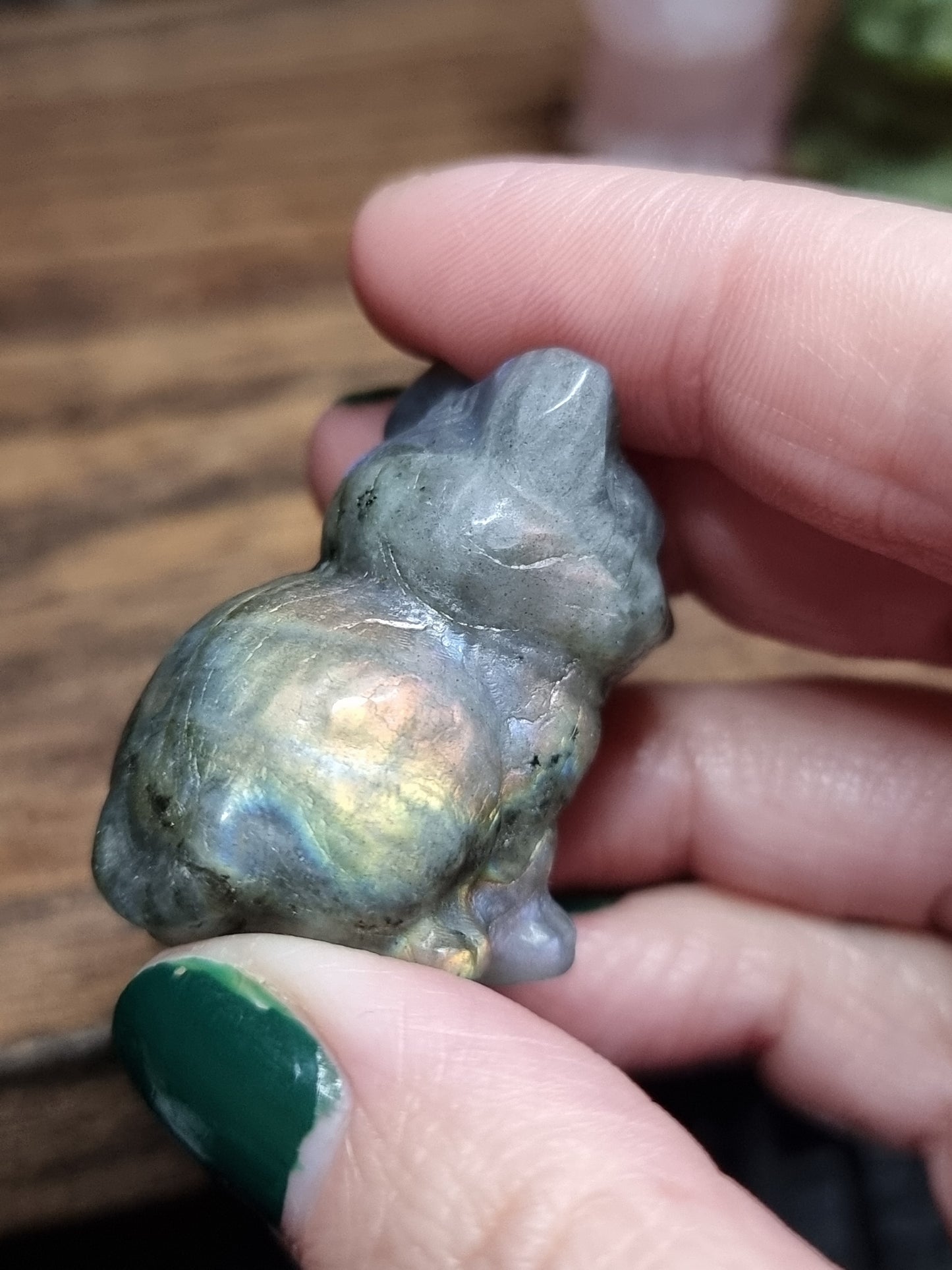 Sitting cat carvings