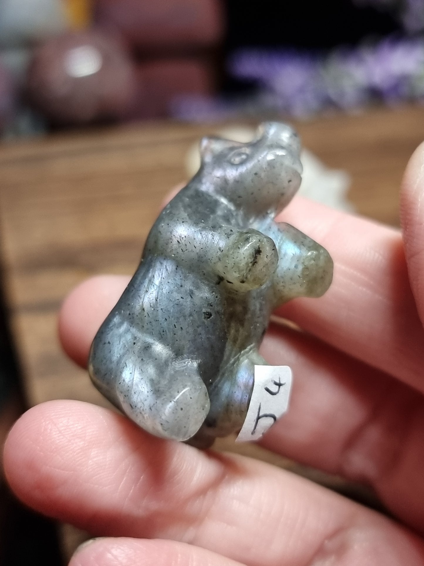 Rhino carvings