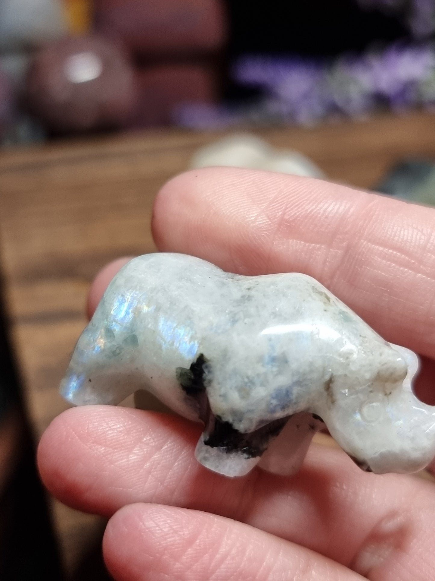 Rhino carvings