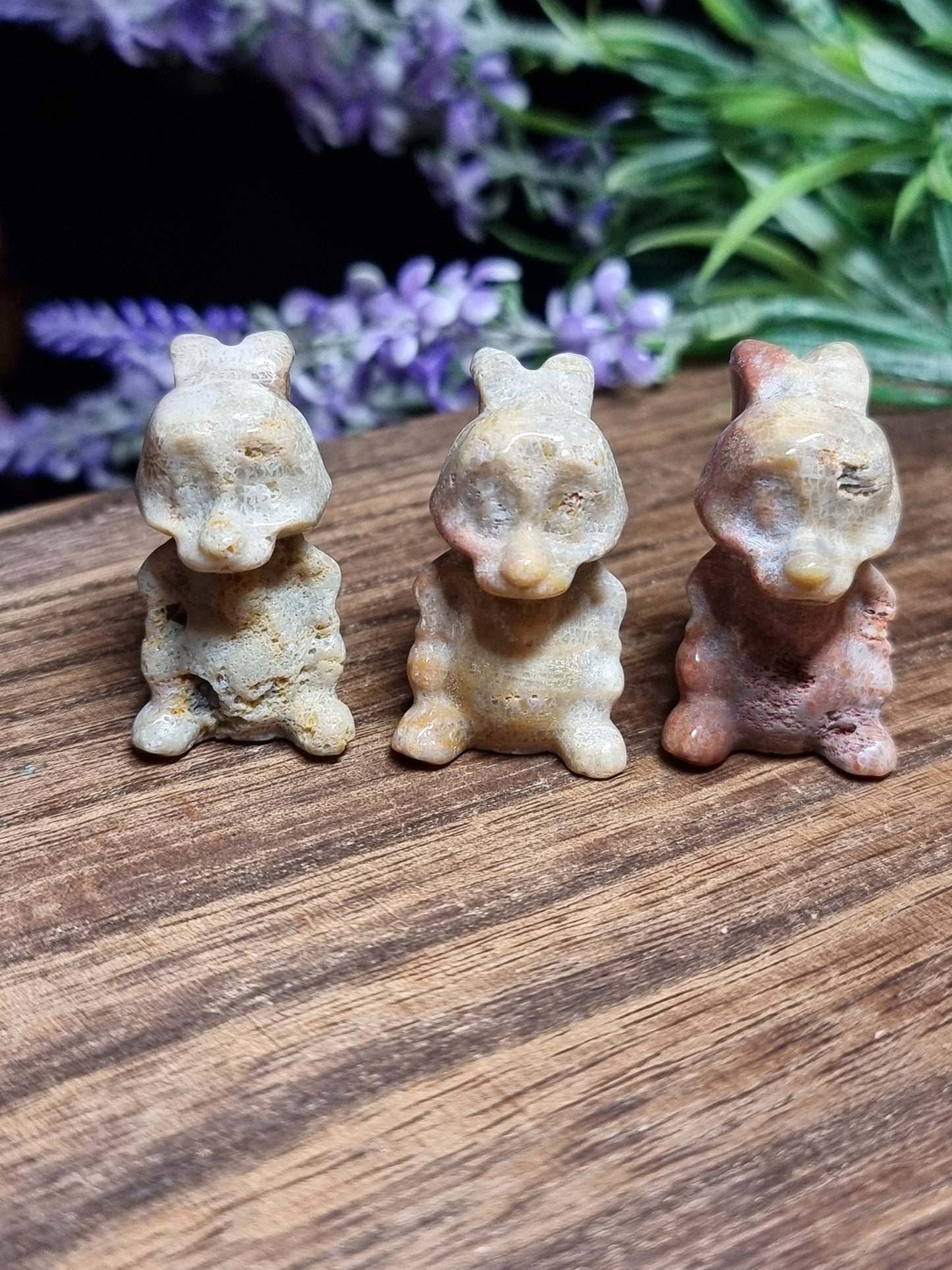 Coral rabbit carvings