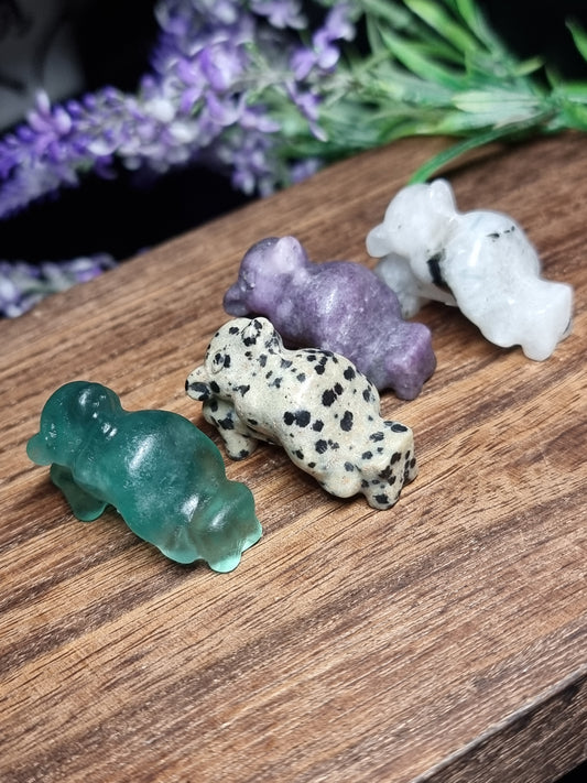 Laying pig carvings
