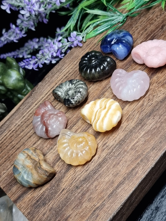 Ammonite carvings