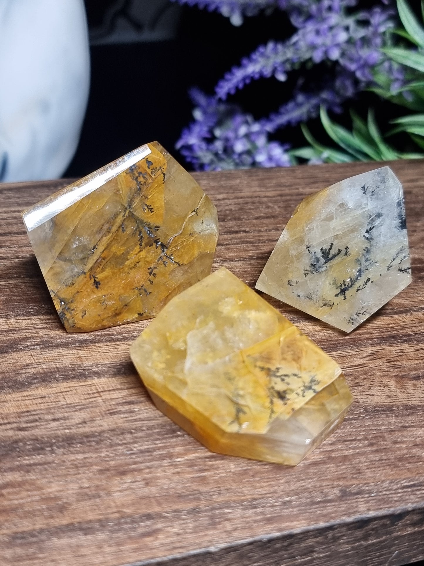 Dendritic golden healer freeforms