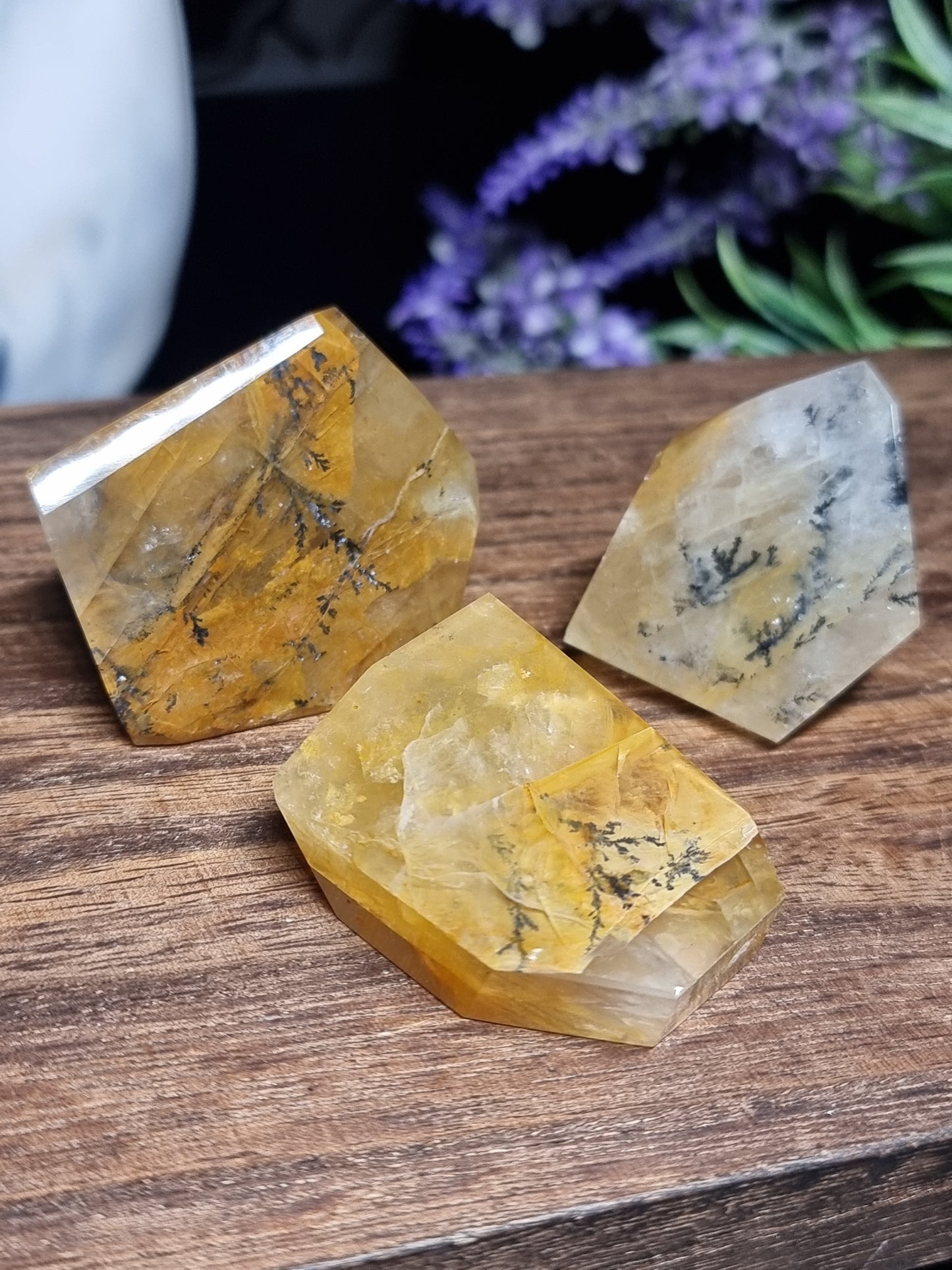 Dendritic golden healer freeforms
