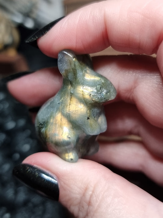 Rabbit carvings