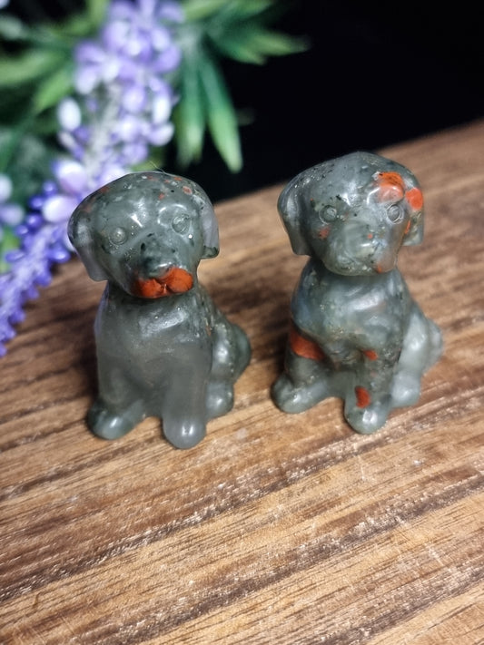 African bloodstone dogs