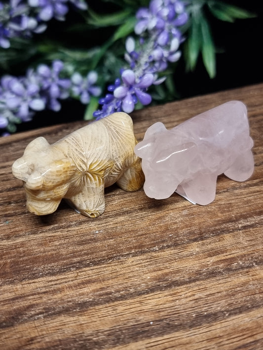 Cow carvings
