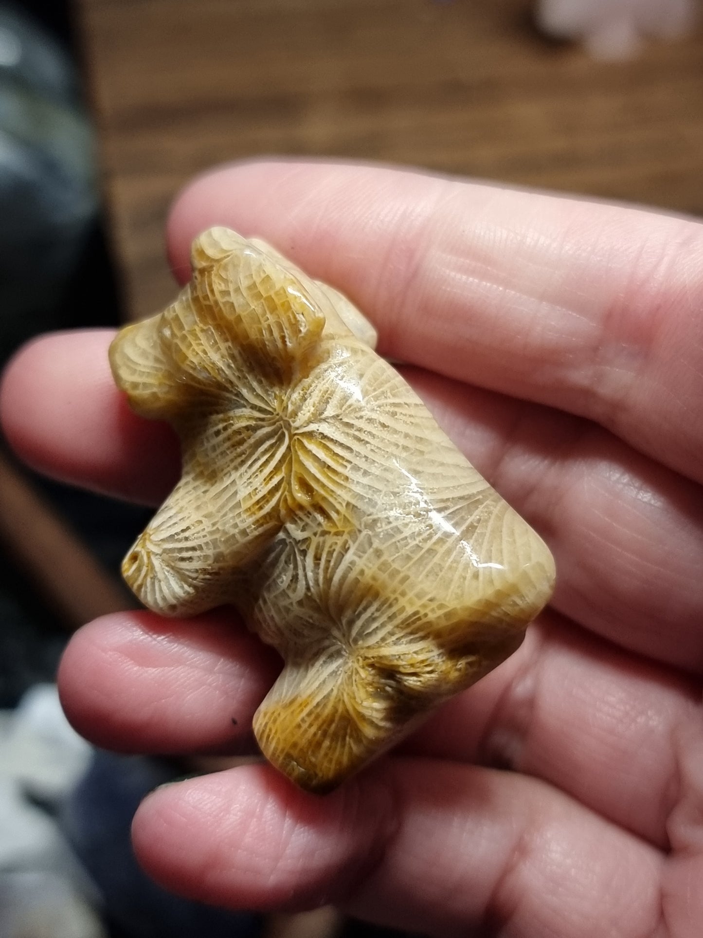 Cow carvings