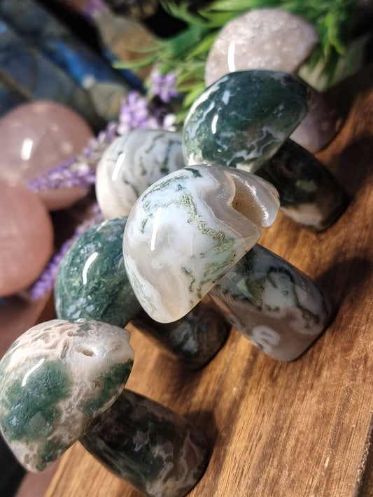 Moss agate mushroom