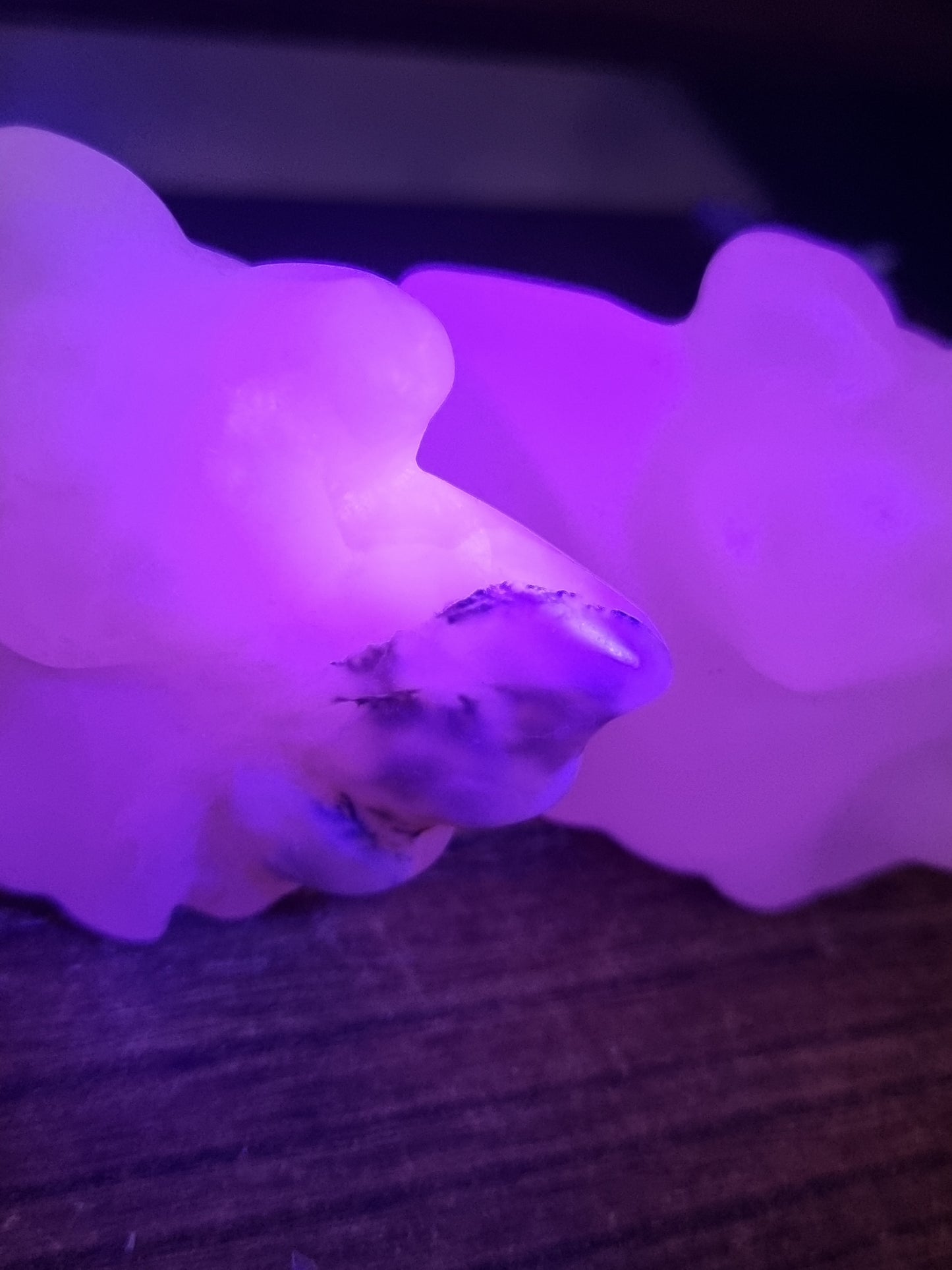 Mangano calcite bats
