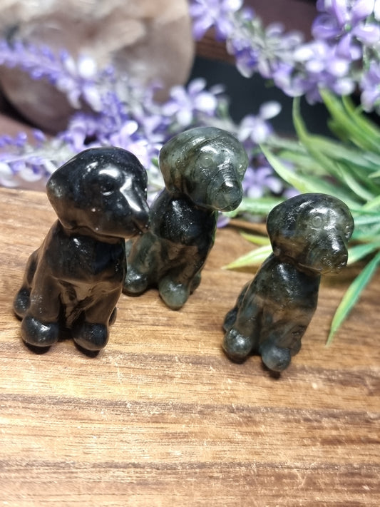 Dog carvings