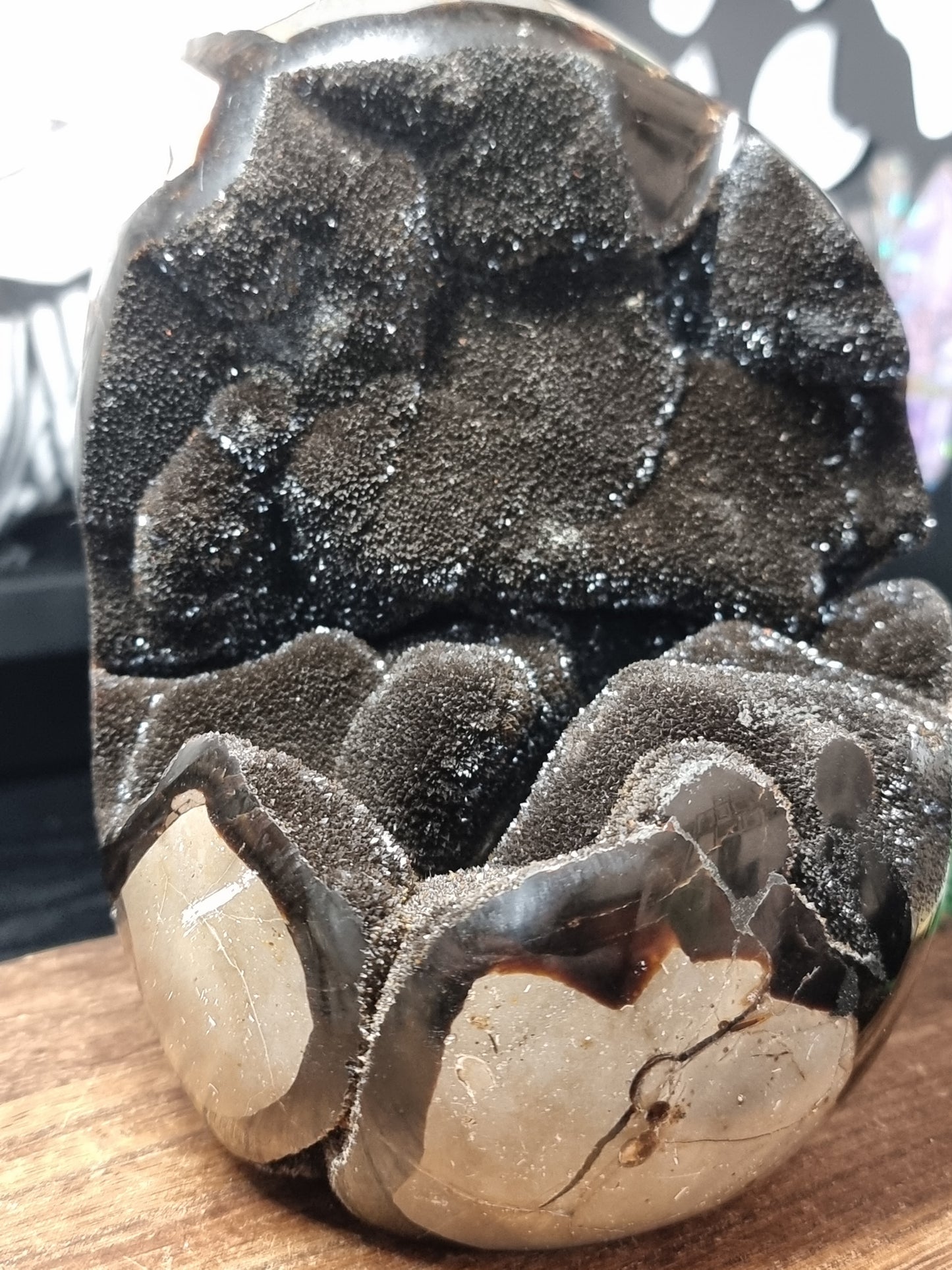 Druzy septarian freeform A