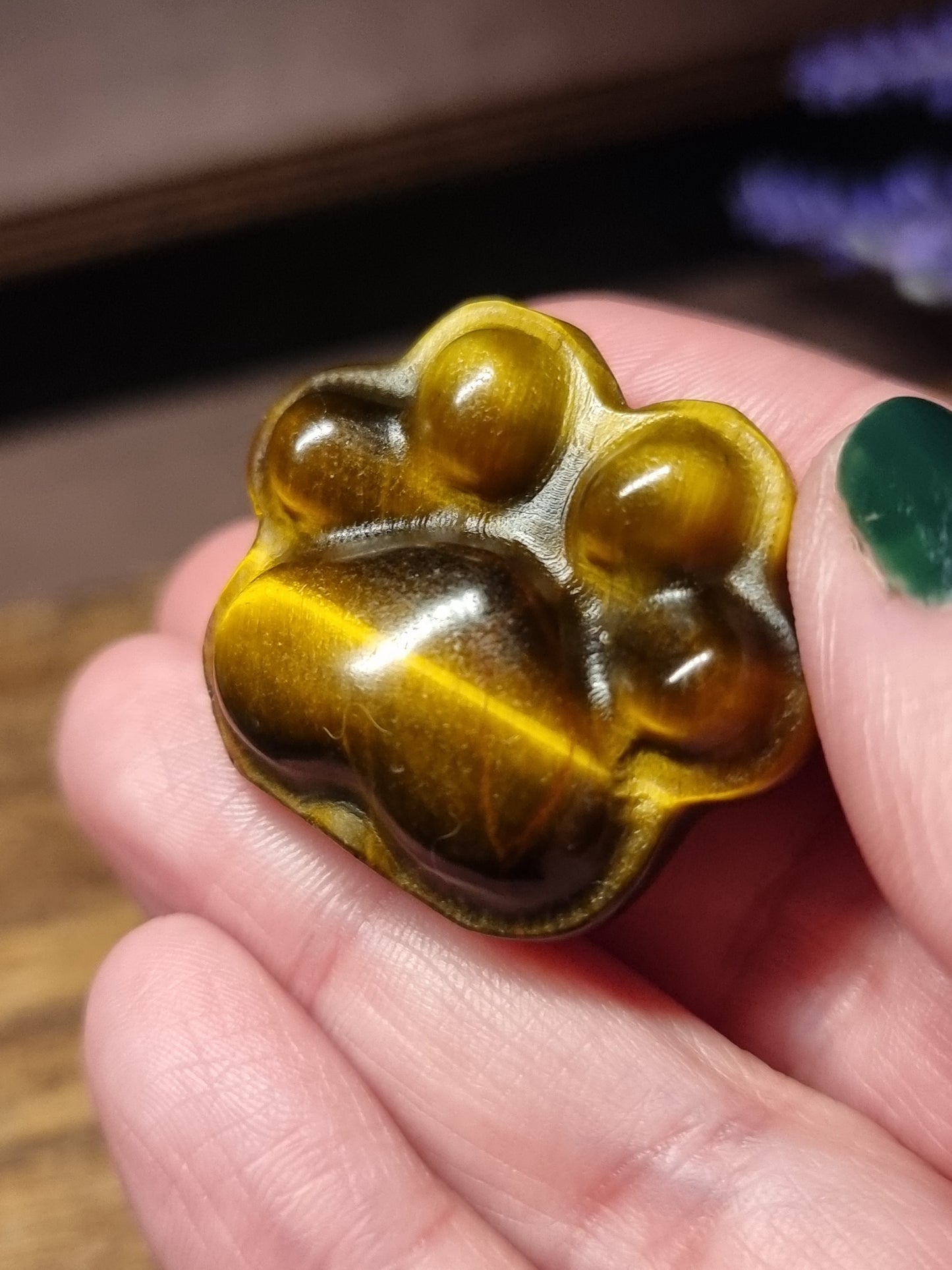 Tigers eye paw