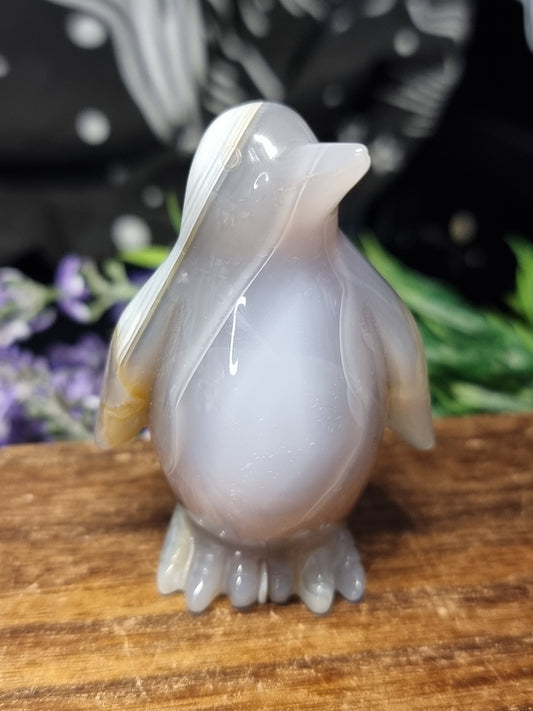 Agate penguin C