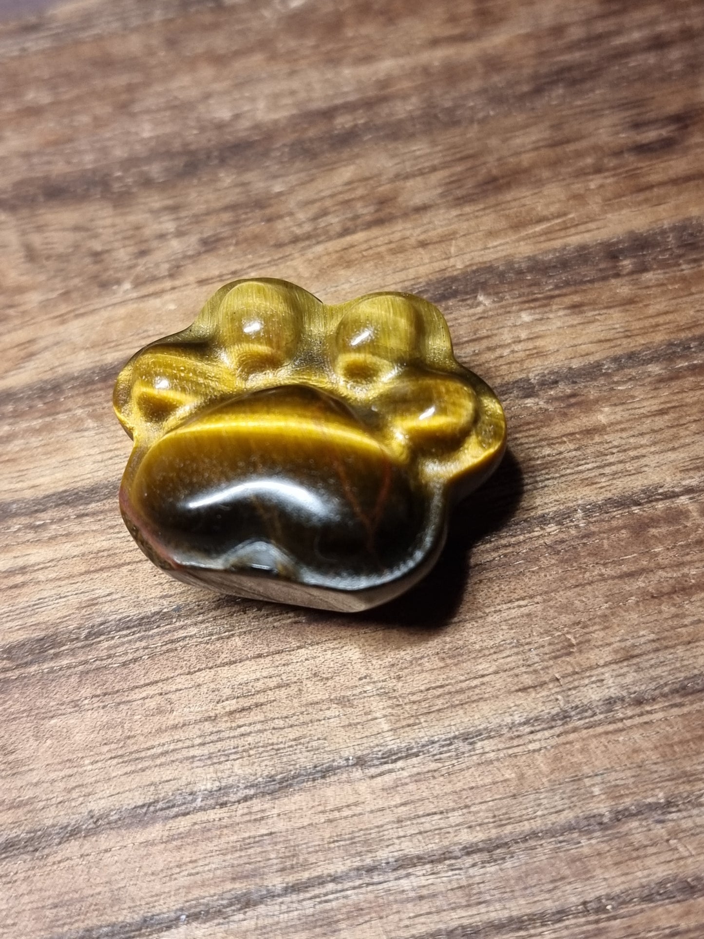 Tigers eye paw