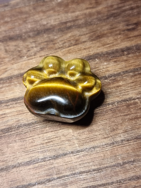 Tigers eye paw