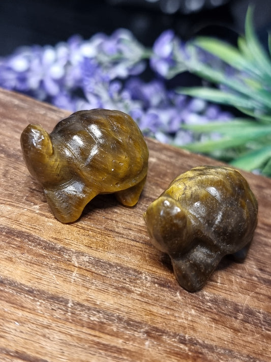 Tigers eye tortoise carvings