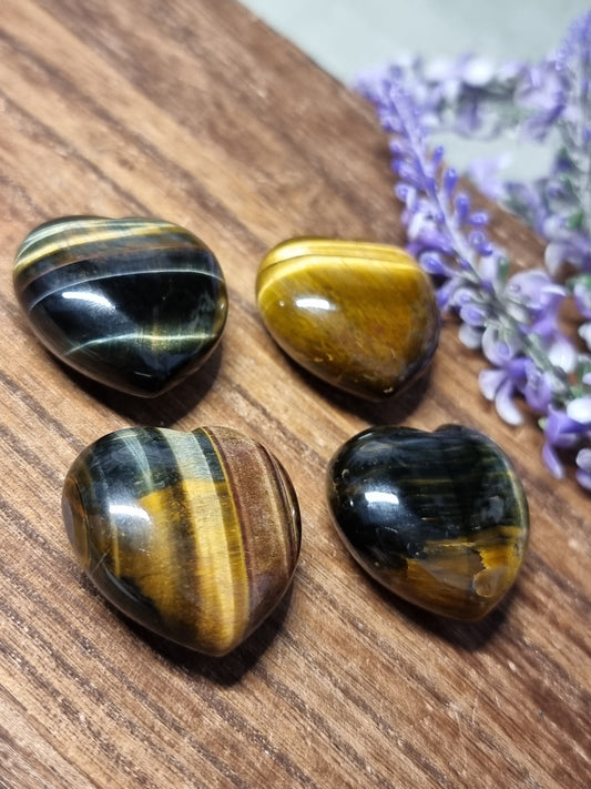 Tigers eye hearts