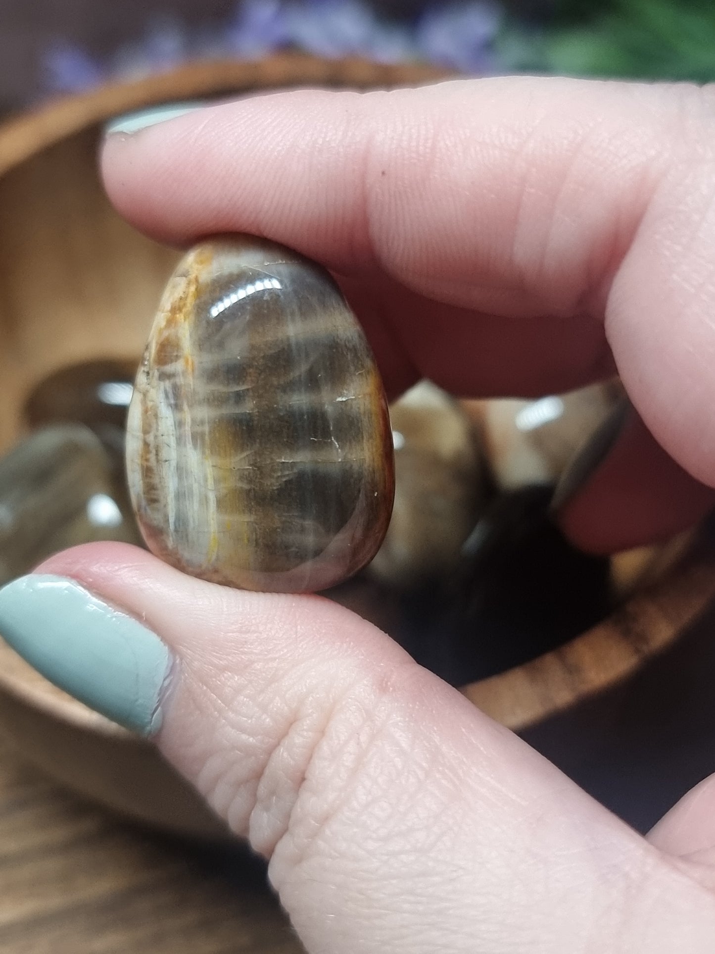 Petrified wood tumbles