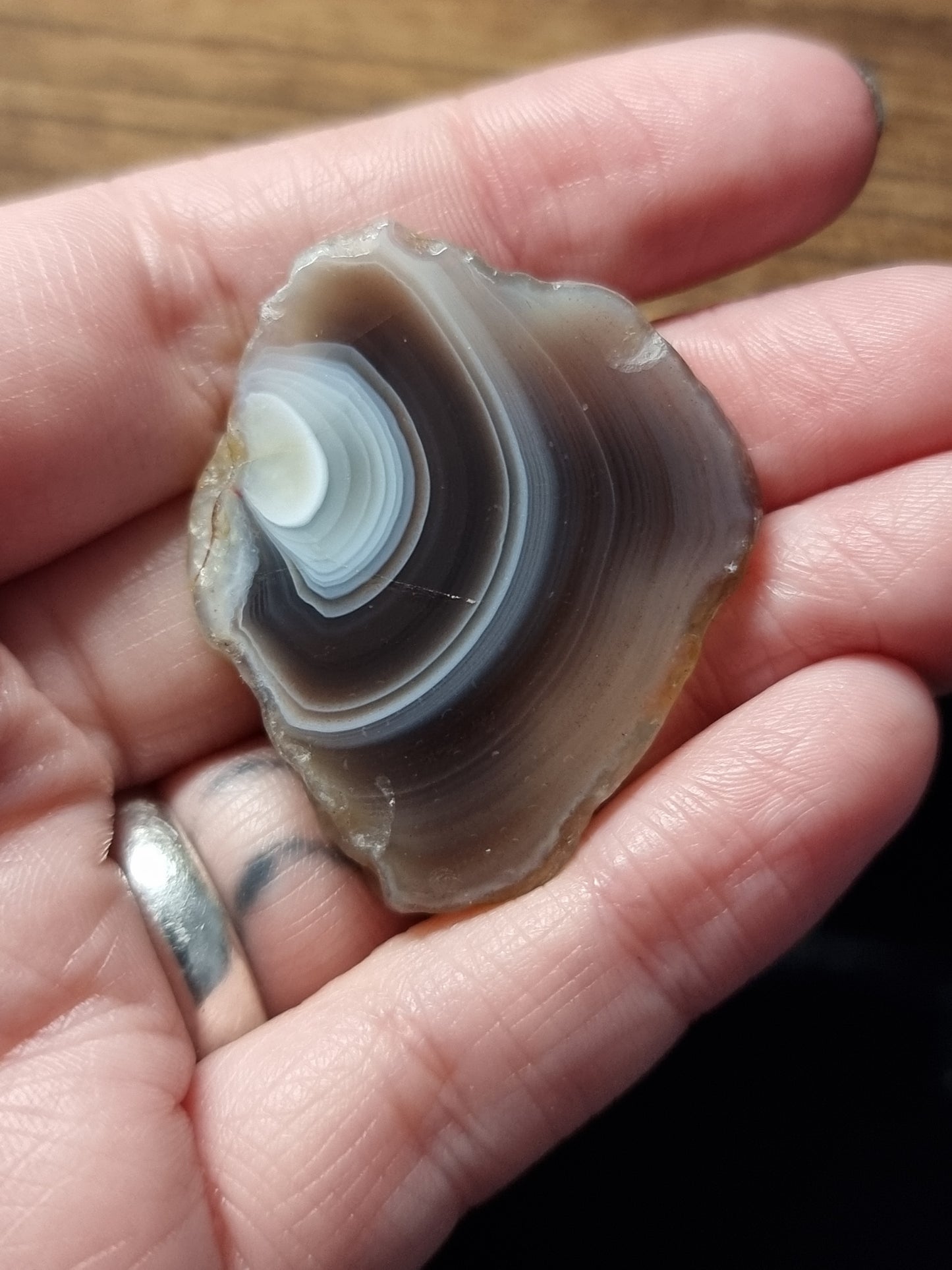 Botswana agate small slices