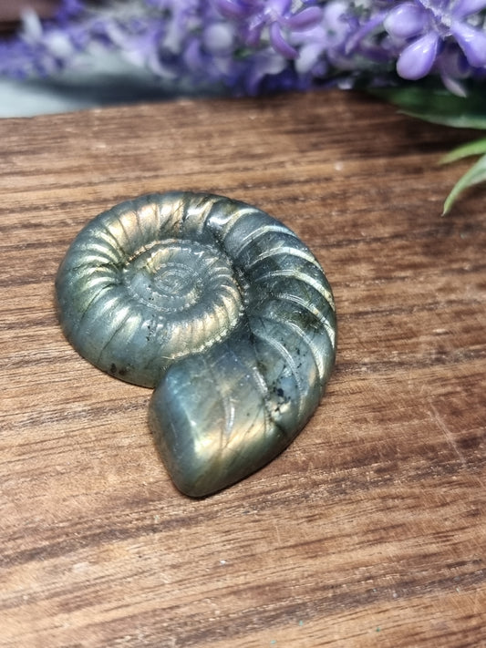 Labradorite ammonite carving