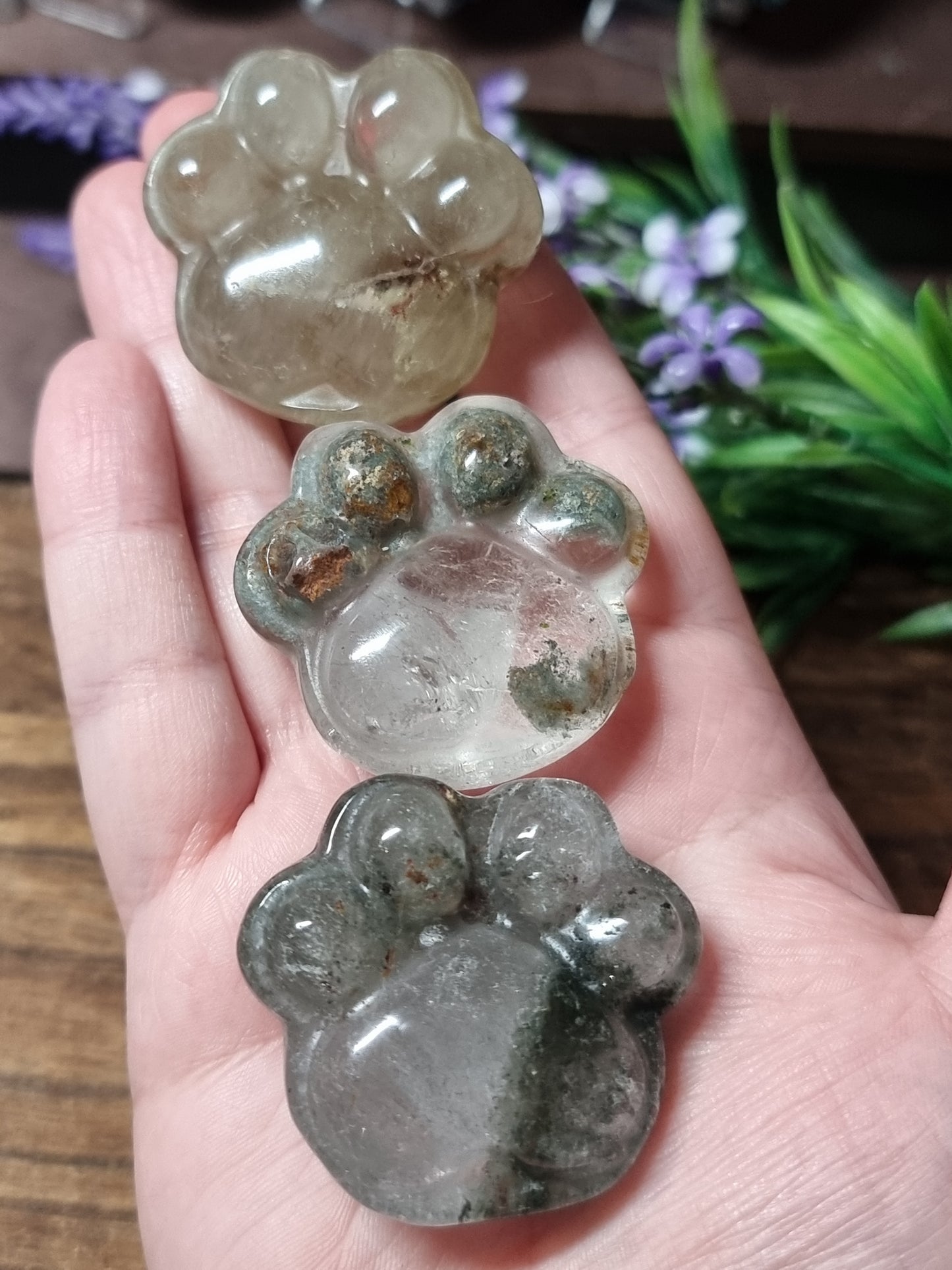 Garden quartz paws