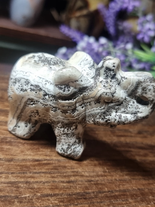 Dendritic calcite elephant