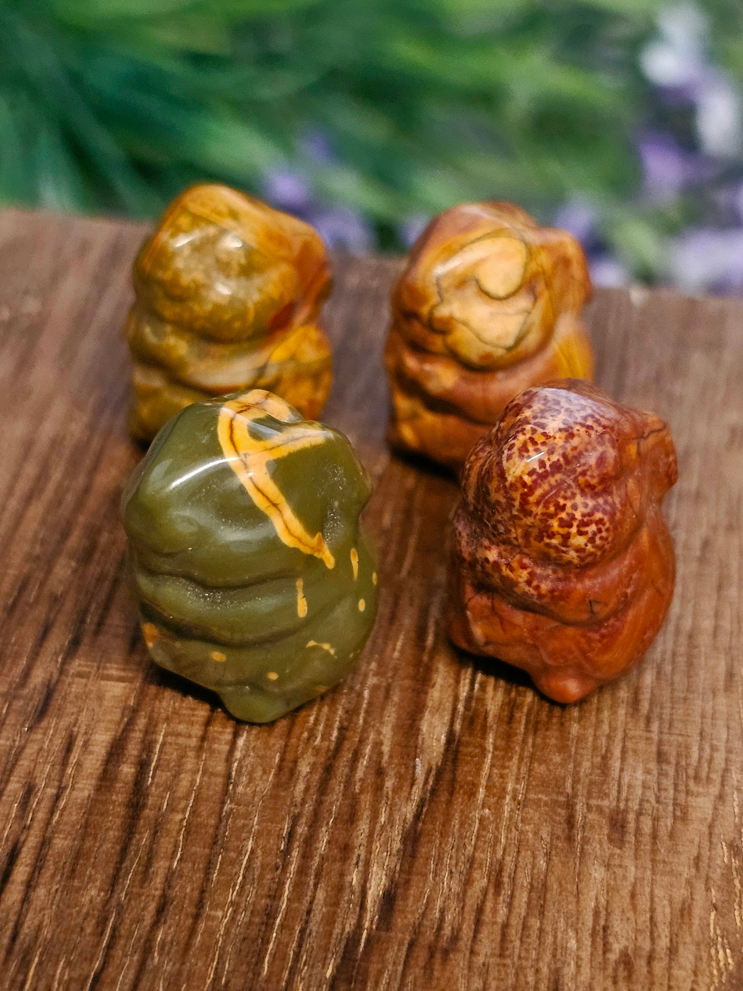 Mini jasper rabbits