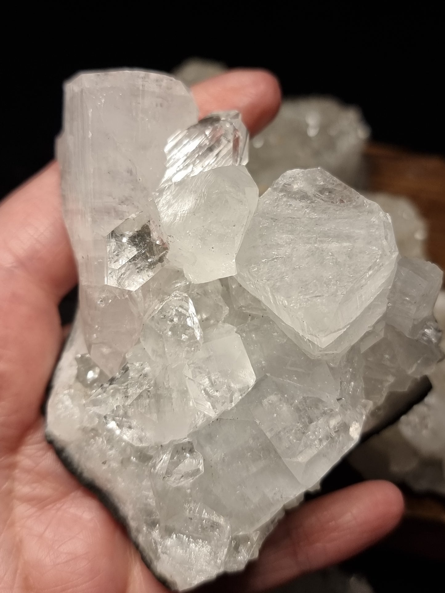 Apophyllite clusters