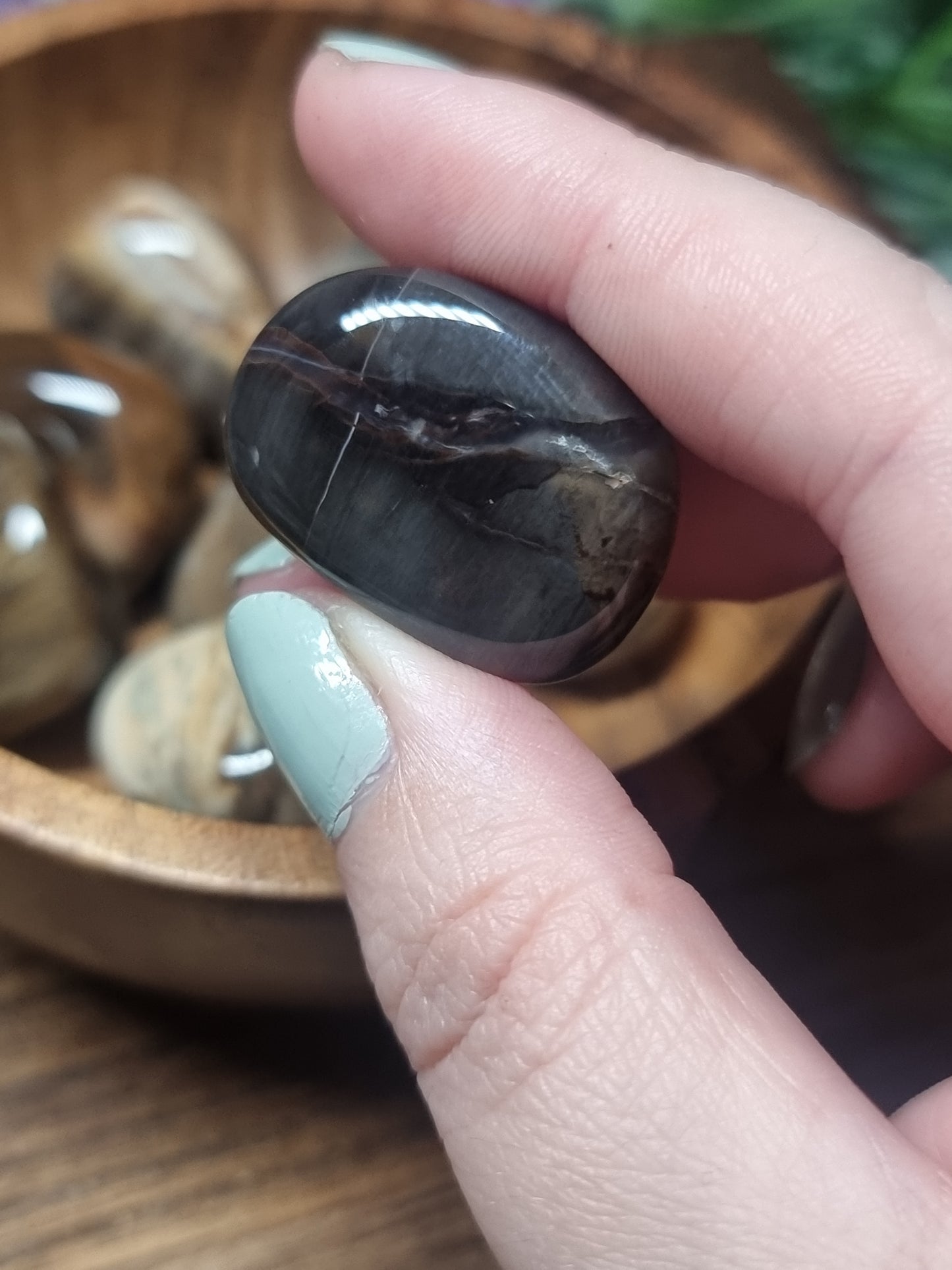 Petrified wood tumbles