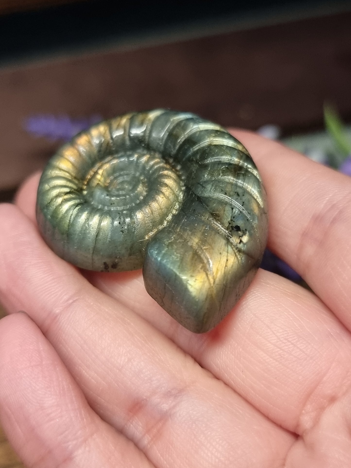 Labradorite ammonite carving