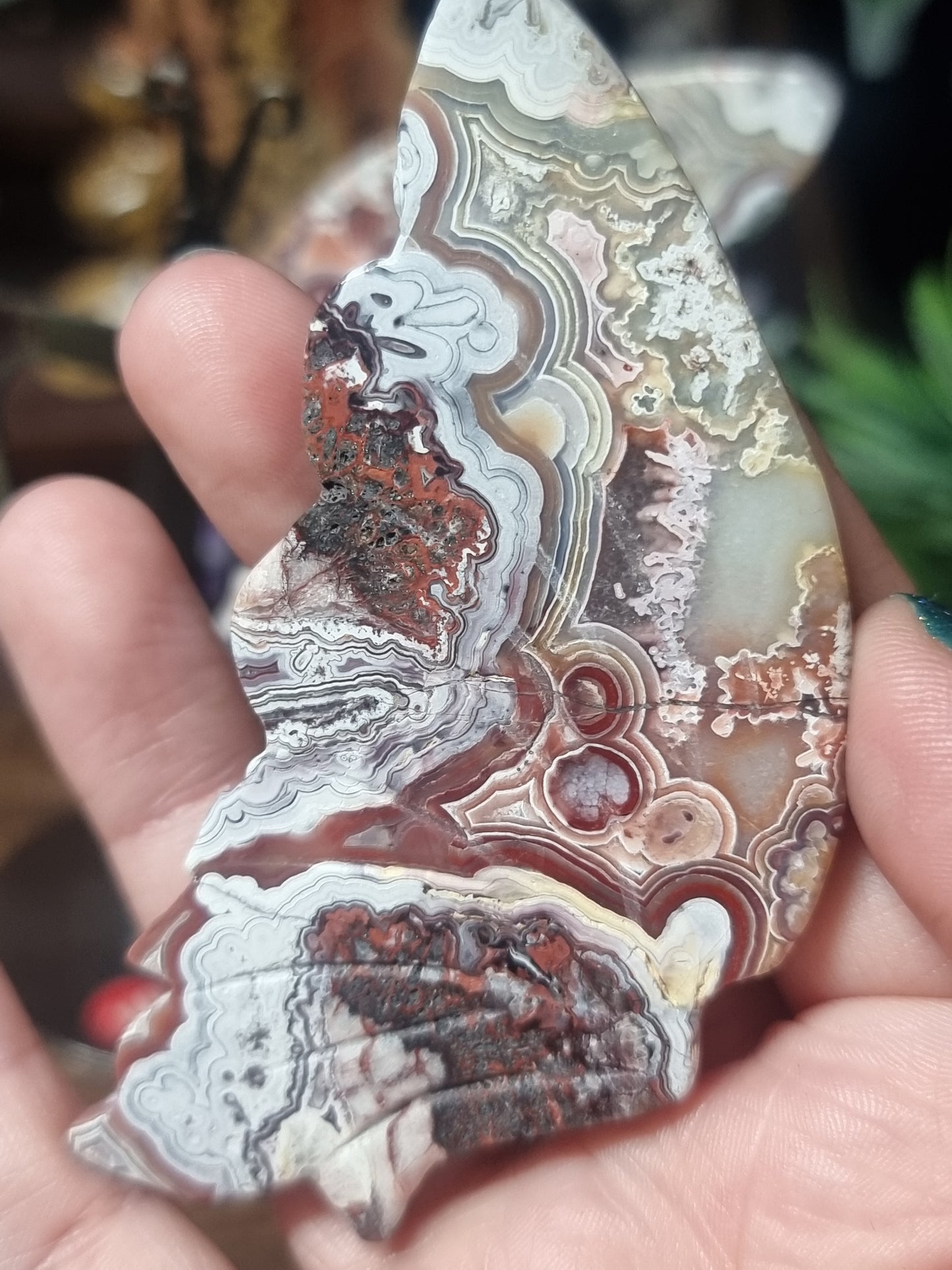 Mexican lace agate butterfly