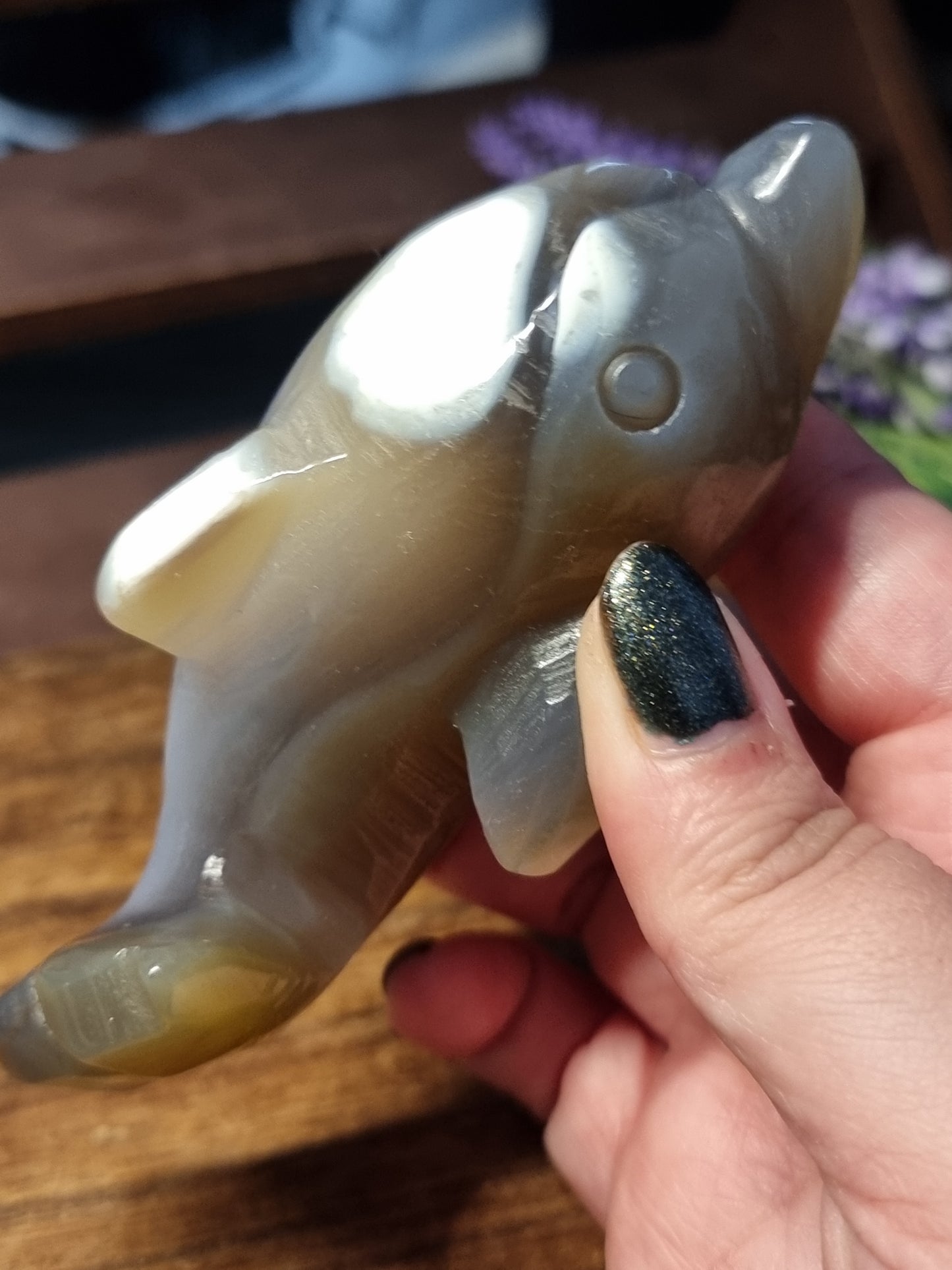 Orca agate dolphin