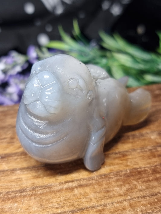 Agate seal