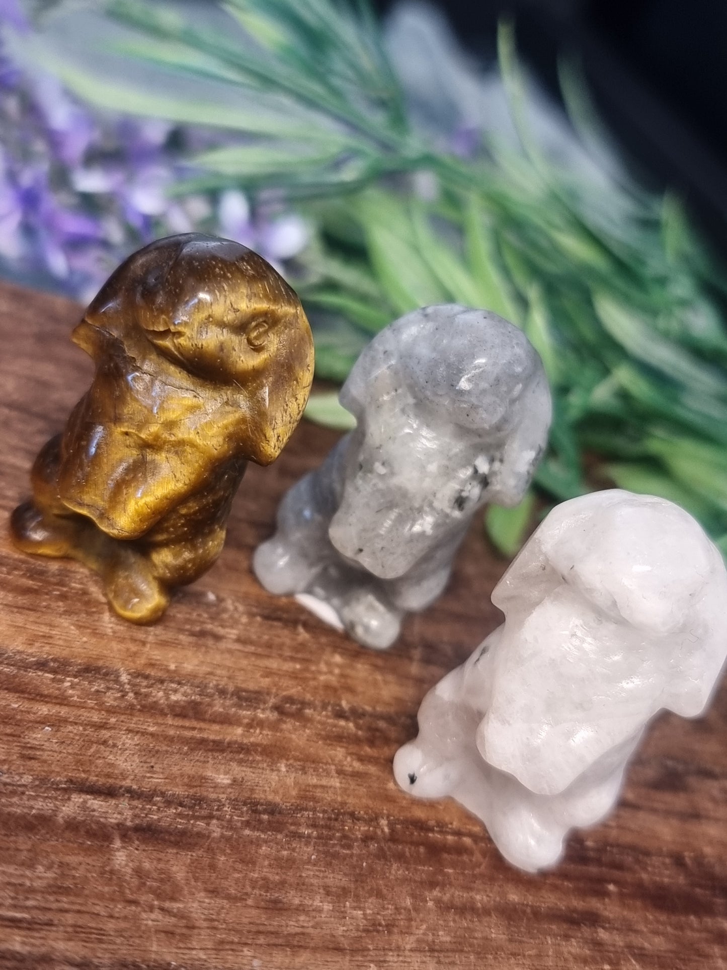 Bunny carvings