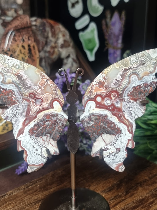 Mexican lace agate butterfly