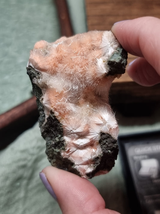 Raw Thomsonite *please read description