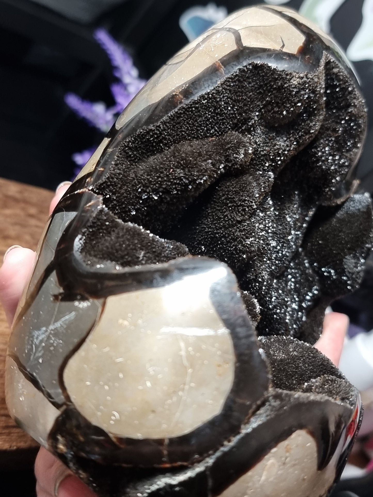 Druzy septarian freeform A