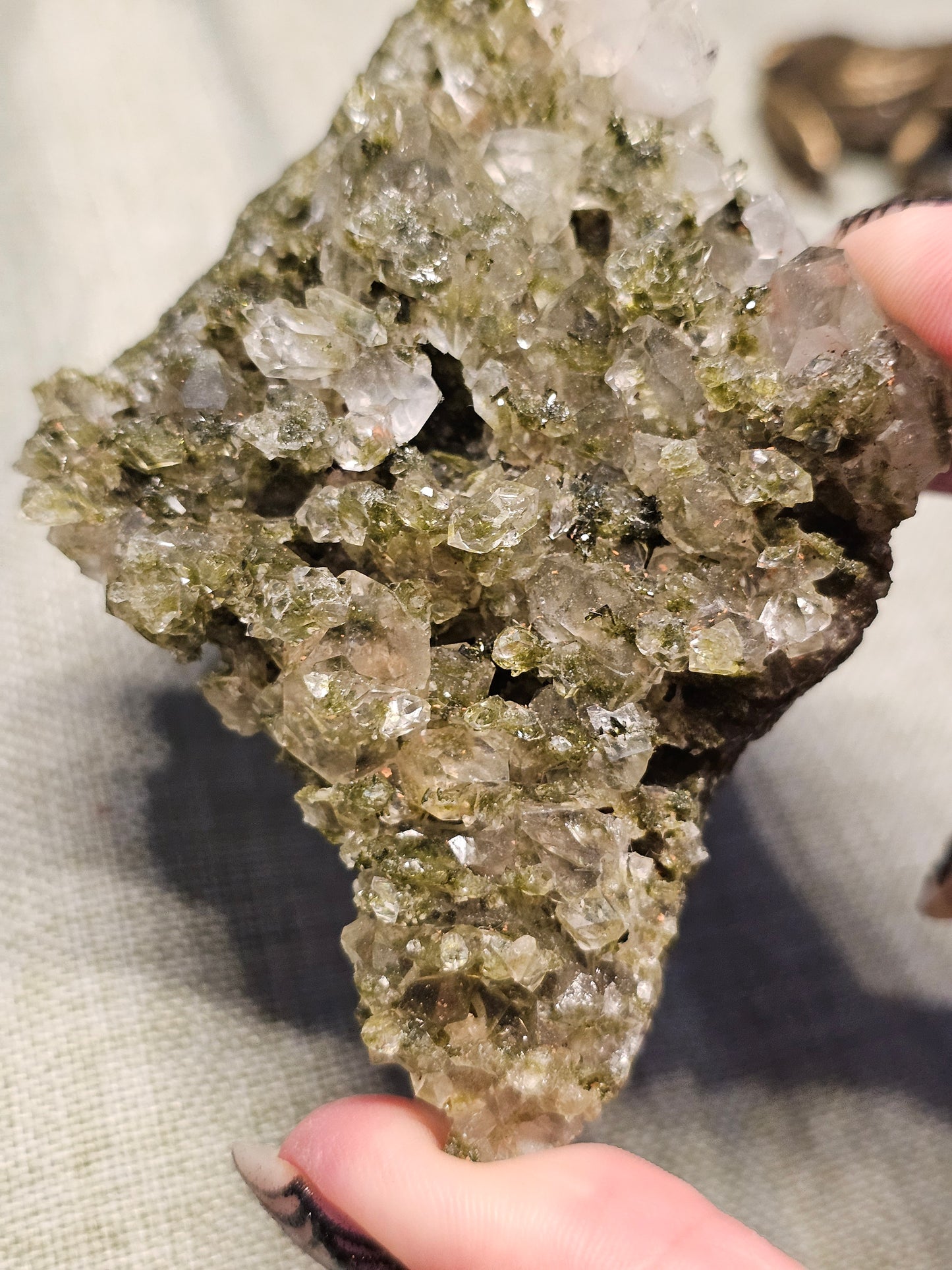 Forest Quartz specimens