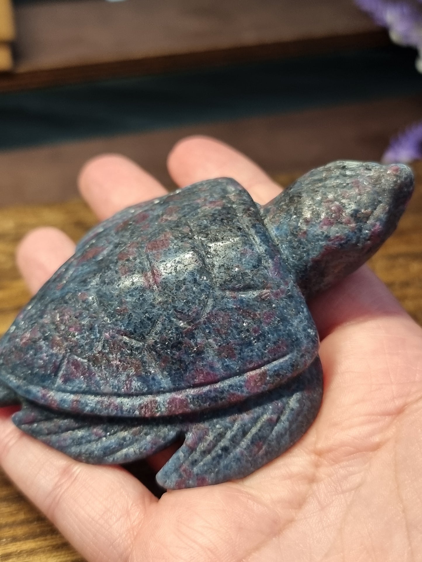Ruby kyanite turtle