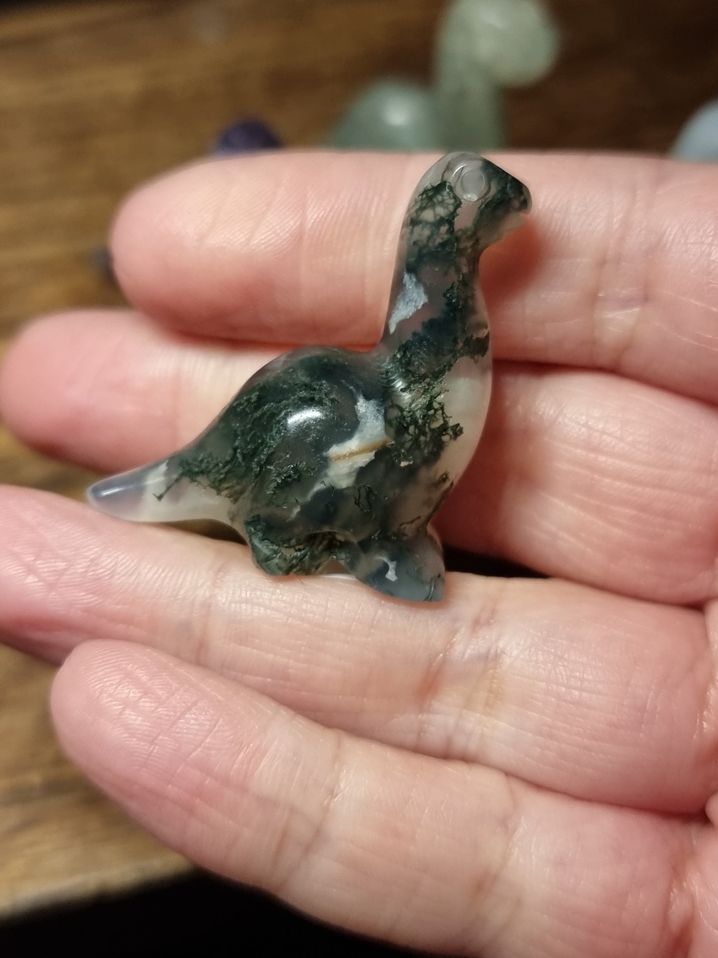 Dinosaur carvings