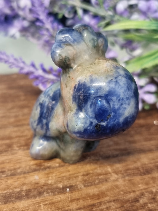 Sodalite turtwig pokemon