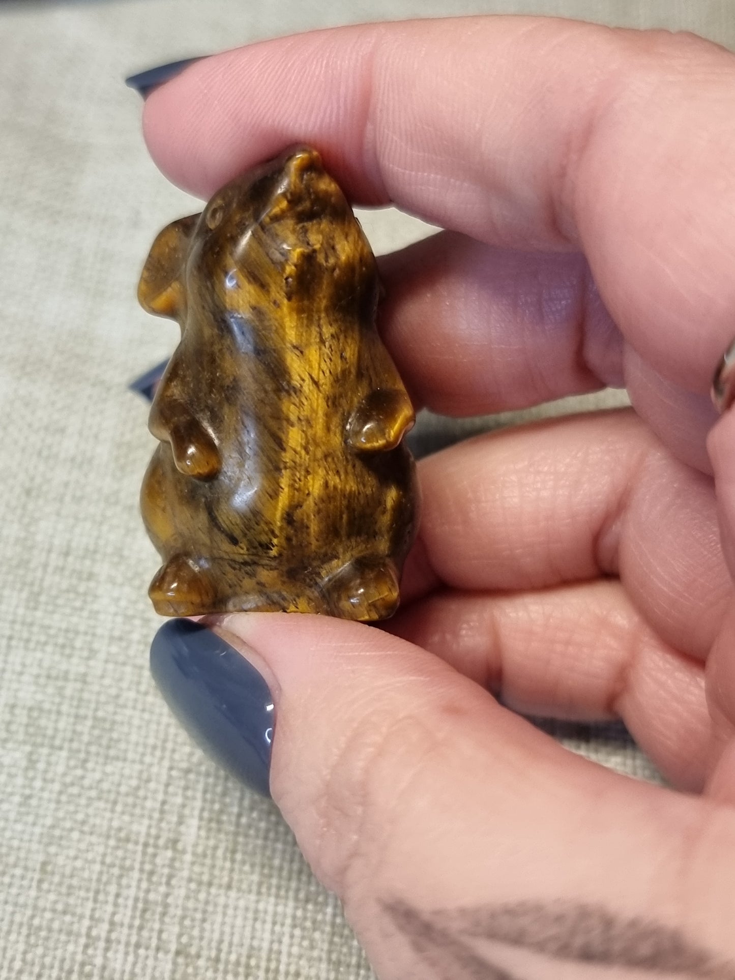 Tigers eye mouse