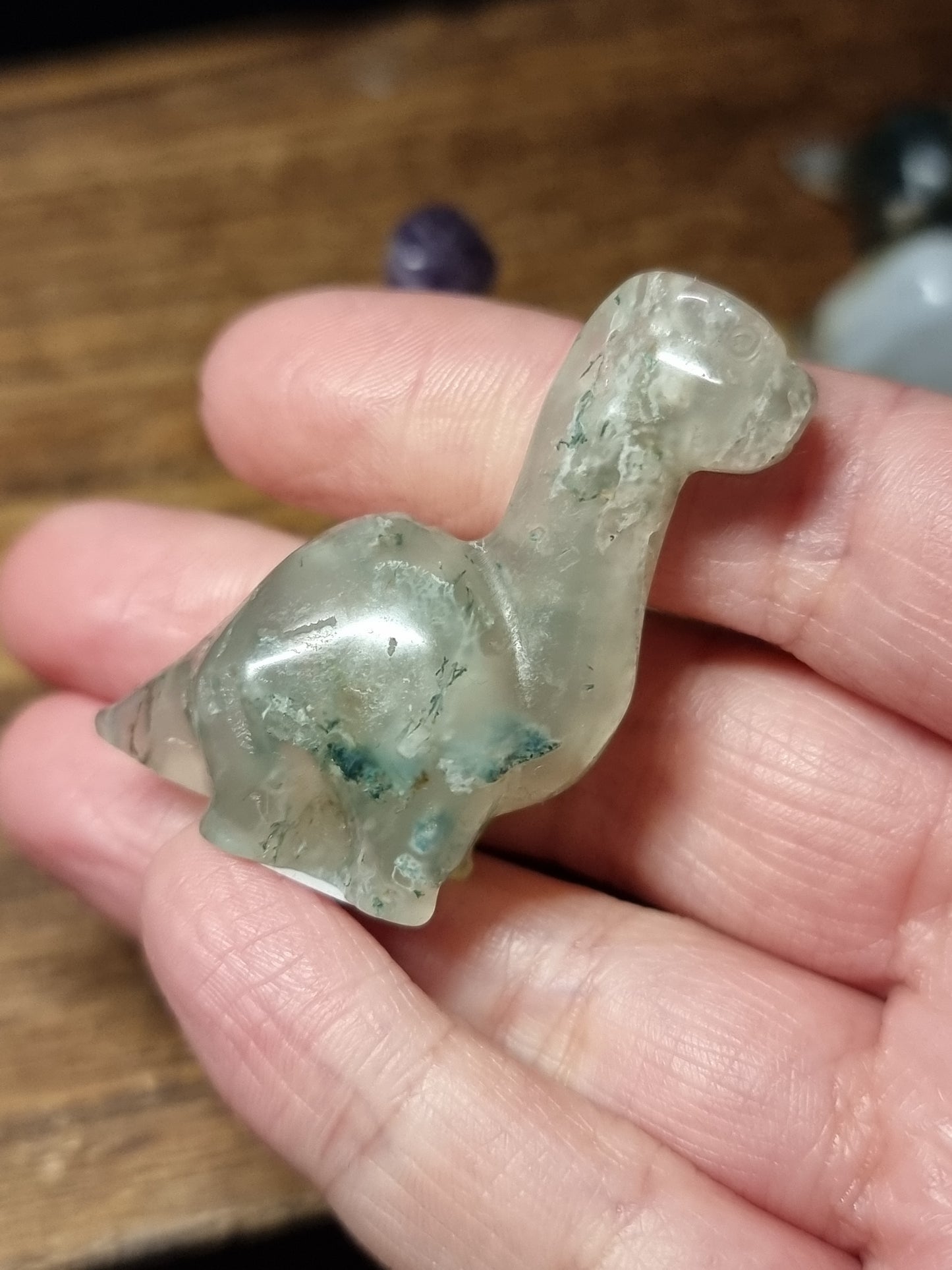 Dinosaur carvings