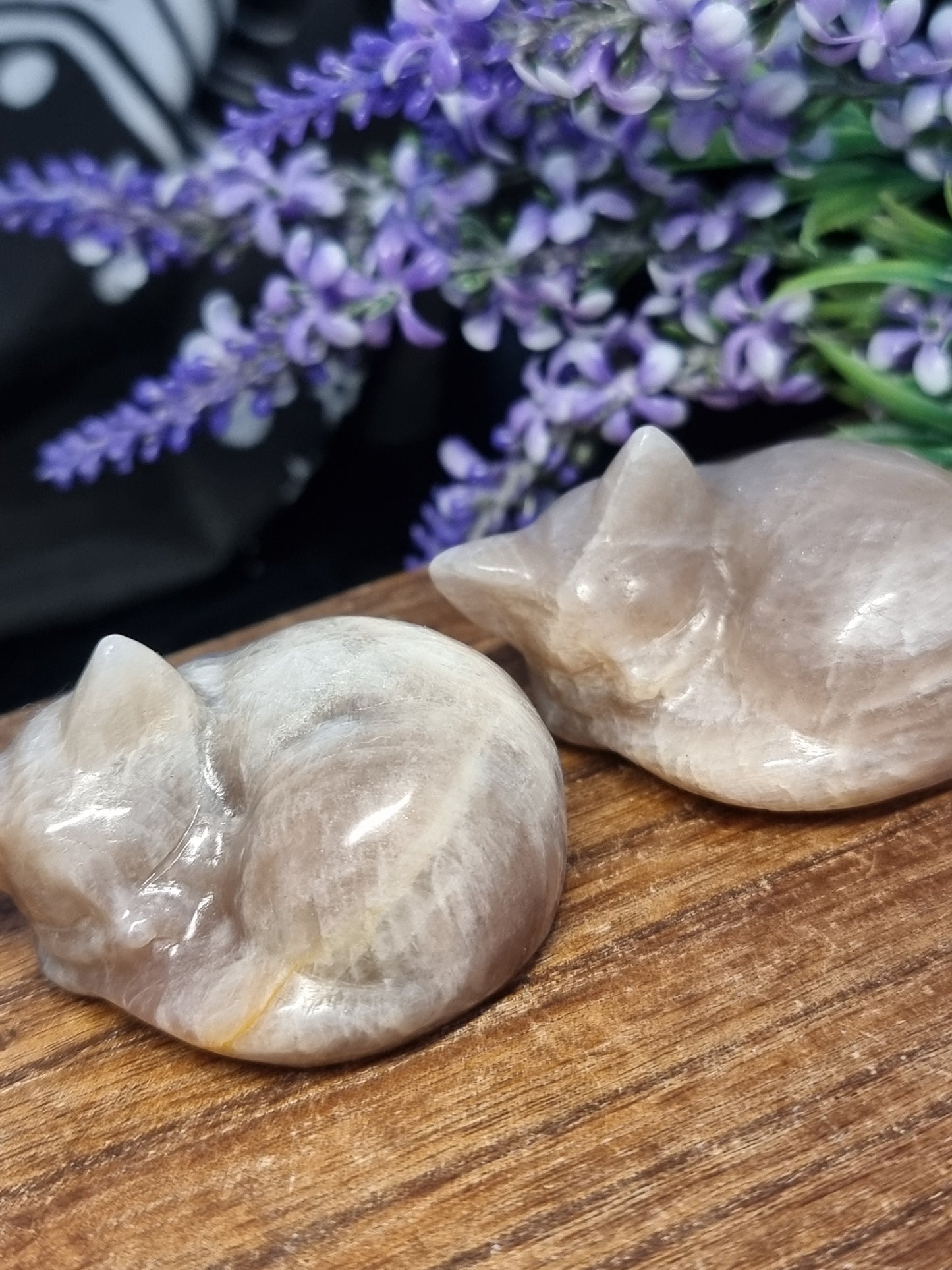 Moonstone sleeping cat carvings