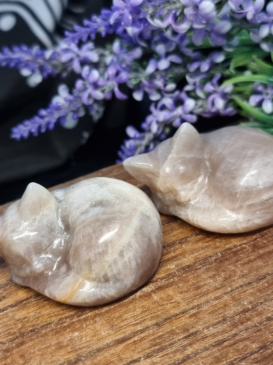 Moonstone sleeping cat carvings